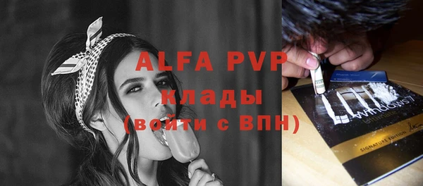 эйфоретик Бородино