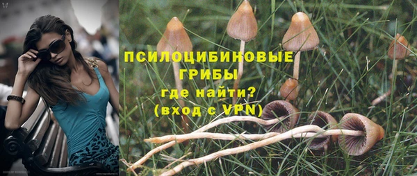 PSILOCYBIN Верхнеуральск
