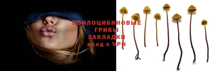 2c-b Верхний Тагил