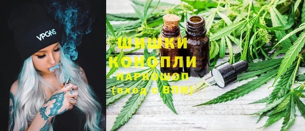 ГАЛЛЮЦИНОГЕННЫЕ ГРИБЫ Верея