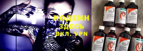 ГАЛЛЮЦИНОГЕННЫЕ ГРИБЫ Верея