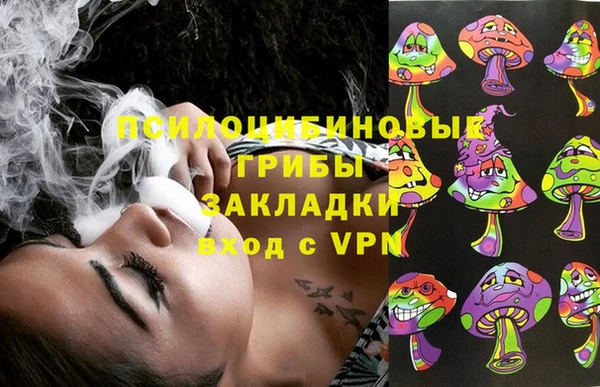 PSILOCYBIN Верхнеуральск