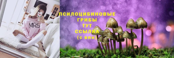 первитин Бугульма