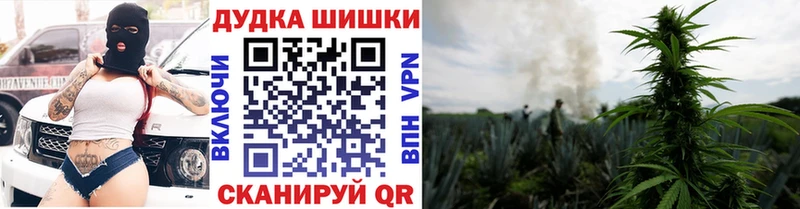 ссылка на мегу   Печора  Марихуана OG Kush 